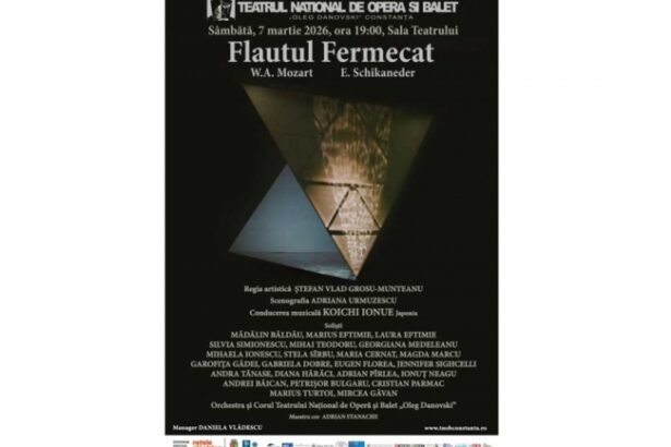 flautul fermecat primul spectacol al lunii martie la teatrul national oleg danovski 69a93f04db557