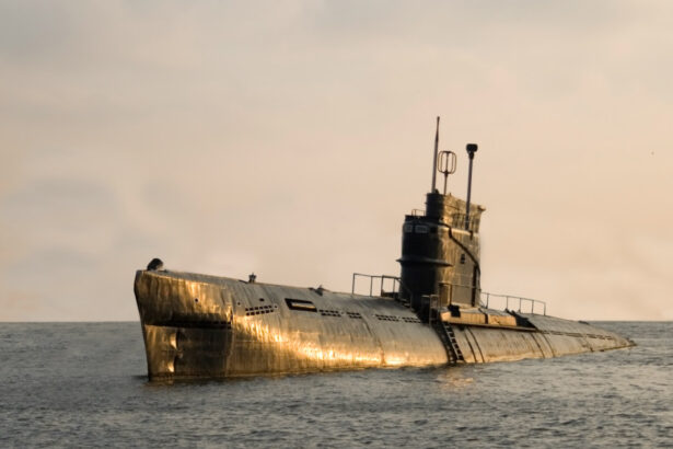 fortele submarine ruse in alerta maxima de lupta anuntul comandantului flotei 69bbde02ec690