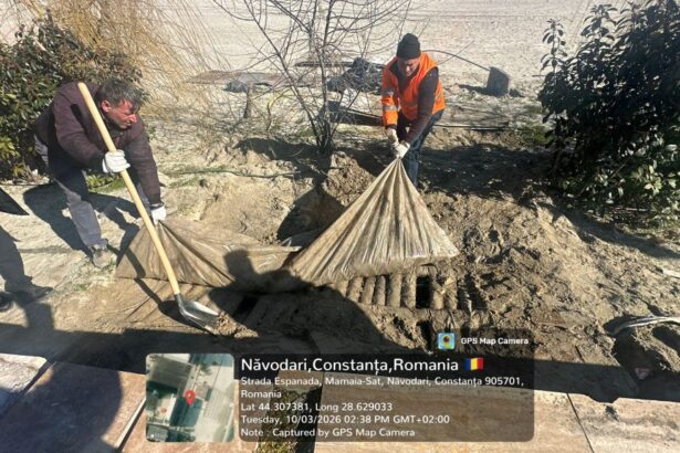 fose septice ingropate ilegal descoperite pe plajele din navodari ministrul mediului anunta continuarea controalelor 69b1e74f40cdd