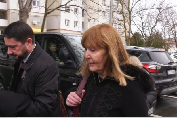 fostul ministru al justitiei monica macovei a cerut intreruperea obligatiei de a presta munca in folosul comunitatii termen azi 69b92abf3c174