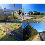 foto comuna cogealac intre mizerie si nepasare cum arata localitatea ramasa parca in urma cu zeci de ani 69b390a0e0718