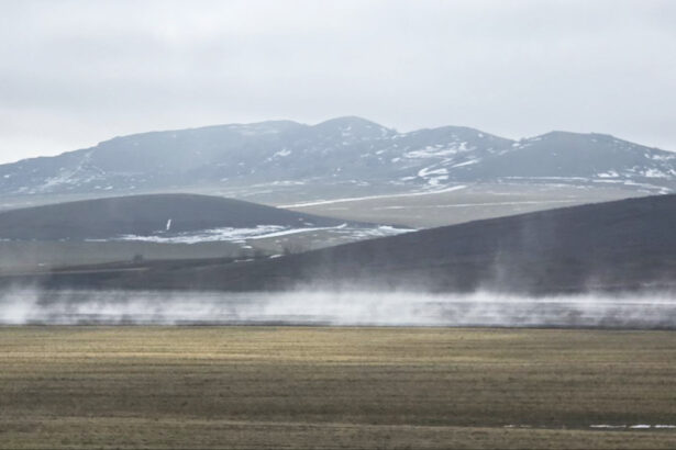 foto fenomen interesant pe campurile din dobrogea pamantul pare ca fierbe la suprafata 69a4284413694