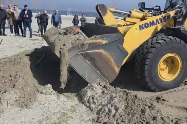 foto garda de mediu descoperire surpriza in mamaia nord sectorul de plaja navodari 2 iata ce masuri au fost luate 69b44e7c3dc13
