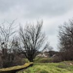 foto incredibil alesi locali din lumina cu sere si constructii ilegale pe un teren care nu le apartine e al comunei 69b850d099759