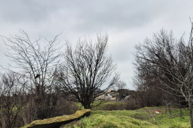 foto incredibil alesi locali din lumina cu sere si constructii ilegale pe un teren care nu le apartine e al comunei 69b850d099759