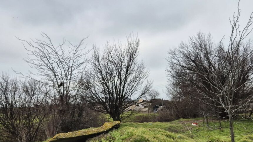 foto incredibil alesi locali din lumina cu sere si constructii ilegale pe un teren care nu le apartine e al comunei 69b850d099759