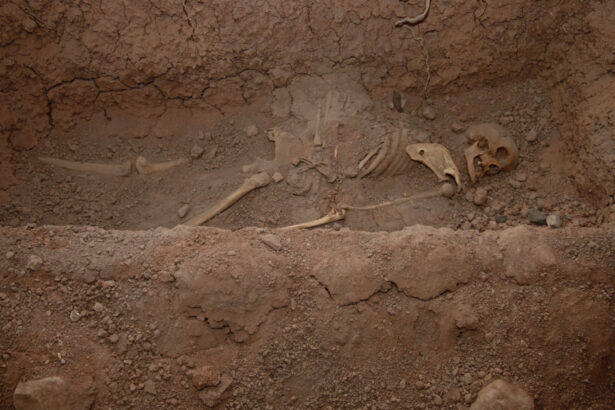 foto lacate la picioare si seceri la gat pentru a impiedica mortii sa iasa din morminte practici medievale descoperite int un stat european 69bf96bd89bbe