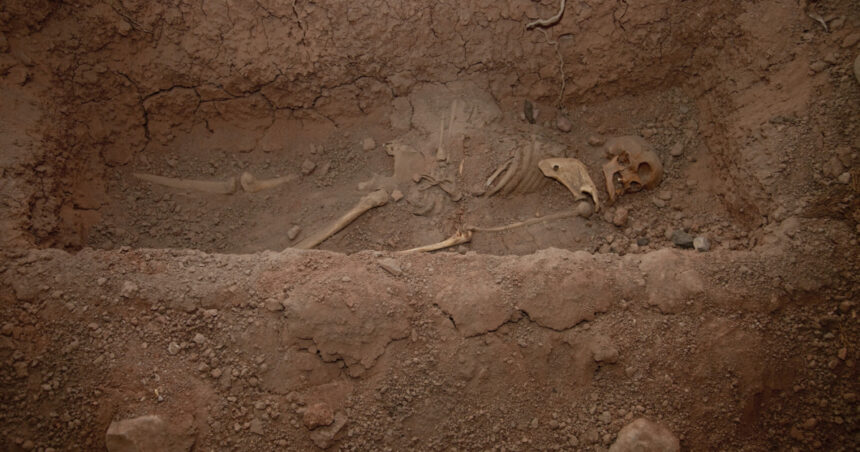 foto lacate la picioare si seceri la gat pentru a impiedica mortii sa iasa din morminte practici medievale descoperite int un stat european 69bf96bd89bbe