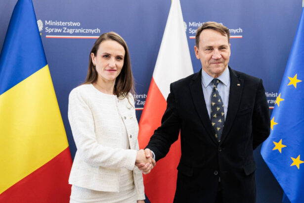 foto ministrul de externe oana toiu discutii cu omologul sau in polonia planul de actiune bilateral urmeaza sa fie semnat in acest an 69a7448eeb9da
