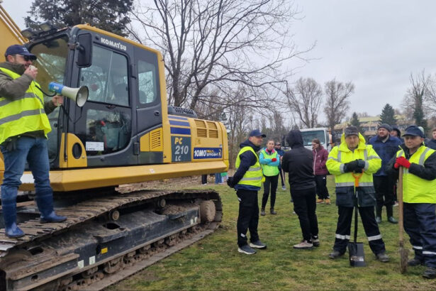 foto video actiune ampla de plantare la palatul copiilor organizata de asociatia constanta restart si asociatia caravana fericirii in aceasta dimineata 69be54f527d12