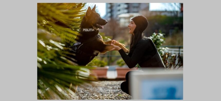 gabriela stancu si sky echipa ipj constanta cu un fler infailibil care intervine cand copiii s au ratacit ori varstnicii nu mai gasesc drumul spre casa 69a8120e63e7b