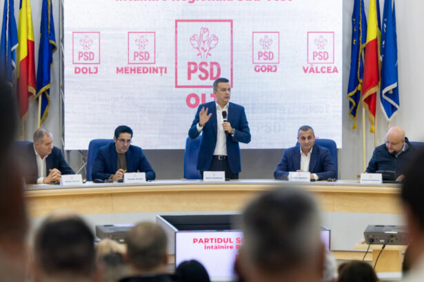grindeanu spune ca are sustinerea filialelor psd din regiunea sud vest pentru iesirea de la guvernare nu putem fi prizonieri 69c6e50fa3022