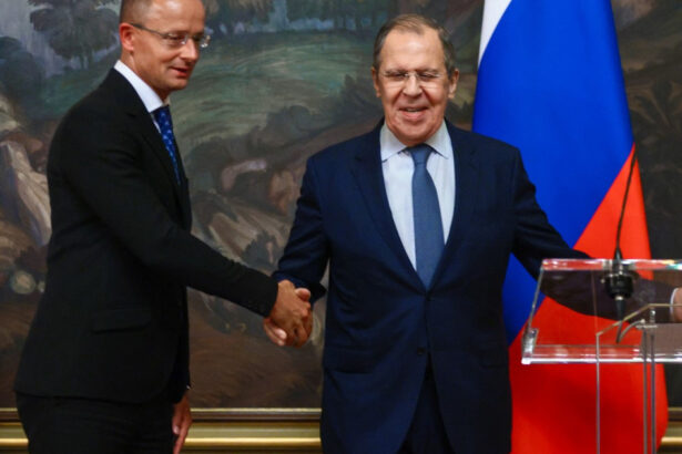 guvernul de la budapesta depune plangere pentru spionaj jurnalist acuzat ca ar fi interceptat convorbiri intre szijjarto si lavrov 69c5ac289913c