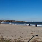 incepe delimitarea domeniului public in zona costiera capul midia vama veche 69c31c2ac431f