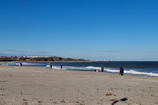 incepe delimitarea domeniului public in zona costiera capul midia vama veche 69c31c2ac431f