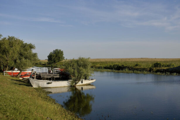incident naval pe canalul sulina o ambarcatiune aflata la ancora s a scufundat dupa ce a fost lovita de un remorcher 69b2a704a2b41