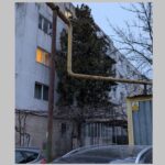 incredibil pisicutele din constanta au oprit un jaf in desfasurare cum a fost posibil 69b59904e97dc