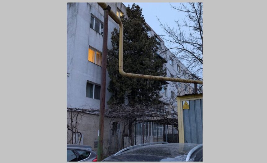 incredibil pisicutele din constanta au oprit un jaf in desfasurare cum a fost posibil 69b59904e97dc