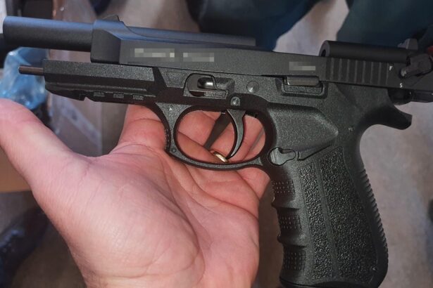 individul cu aere deinterlop care a tras cu arma in trafic la medgidia a fost condamnat definitiv 69bc88177ad7f