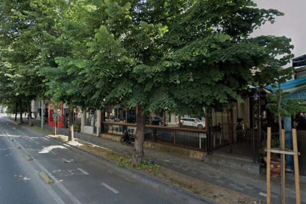 judecatorii din constanta dicteaza o mica avere cu titlul de despagubiri pentru o casa si un teren de pe bulevardul tomis confiscate de comunisti vezi aici minuta 69c2031146da8