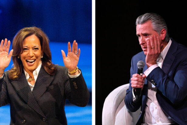 kamala harris sau gavin newsom cine este favorit in alegerile primare din california 2028 toata lumea vrea sa l invinga pe trump 69b39d1f4b2e8