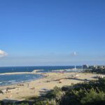 legea plajelor a ajuns la curtea suprema sesizarea lui nicusor dan dezbatuta astazi la ccr 69c3b37e299f0