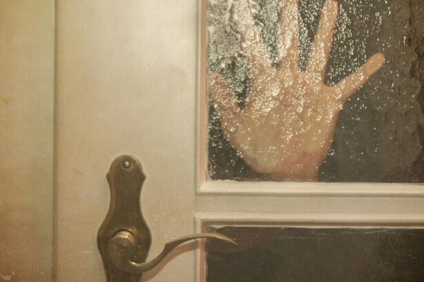 legea privind informarea asupra traficului de persoane promulgata mesaje obligatorii in hoteluri aeroporturi si agentii 69c41ee55cc29