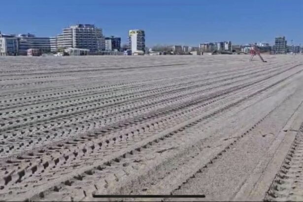 licitatia pentru inchirierea plajelor ar putea fi blocata in instanta 69b11a5d307ac