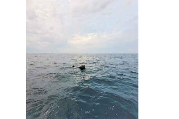 minele marine in deriva in marea neagra subiect de disputa intre ministerul apararii si ambasada rusiei 69c64bf24d9f8