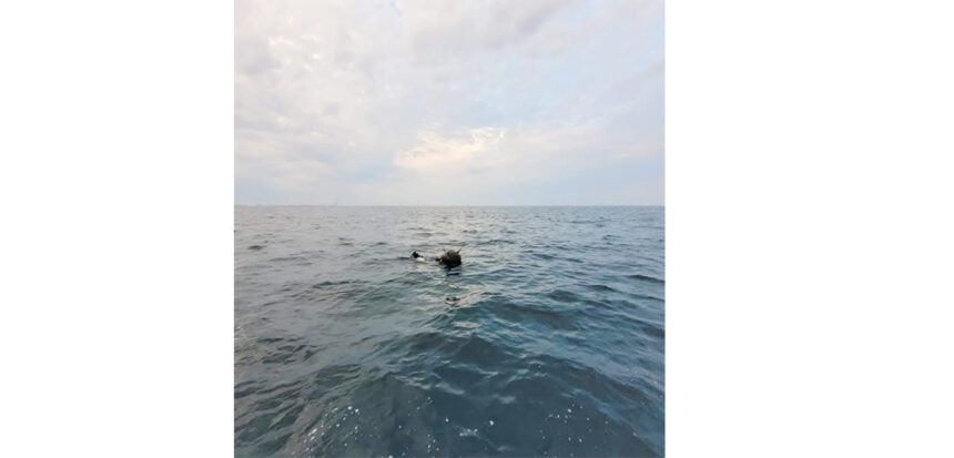 minele marine in deriva in marea neagra subiect de disputa intre ministerul apararii si ambasada rusiei 69c64bf24d9f8