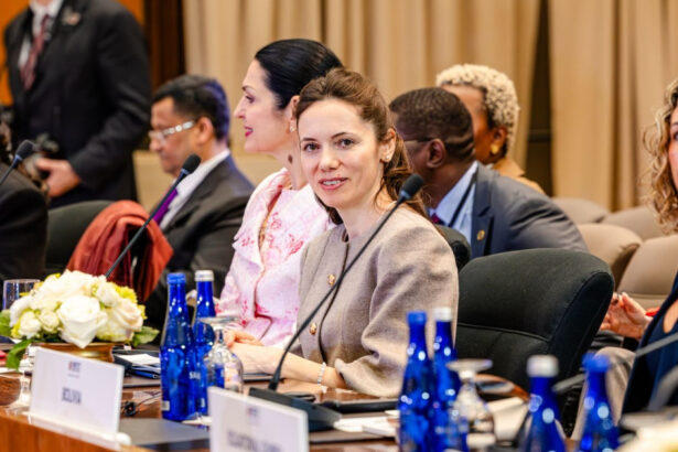 mirabela gradinaru partenera lui nicusor dan intalnire la washington cu conducerea american councils for international education 69c39bac8291d