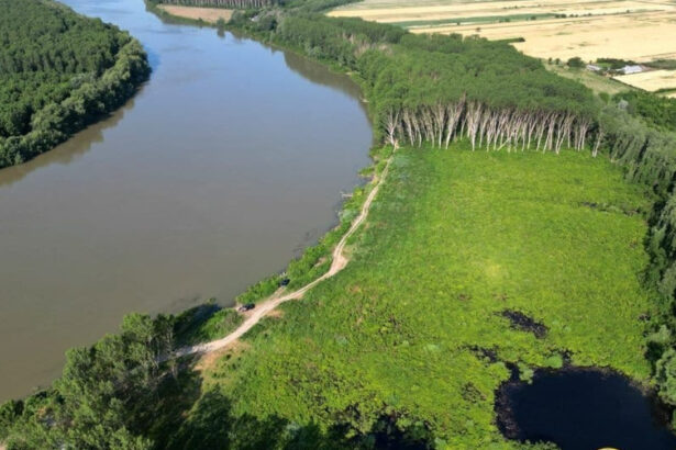 navigatia pe bratul macin al dunarii va fi inchisa exercitii cu munitie de razboi timp de doua zile 69c0f2d44ddad