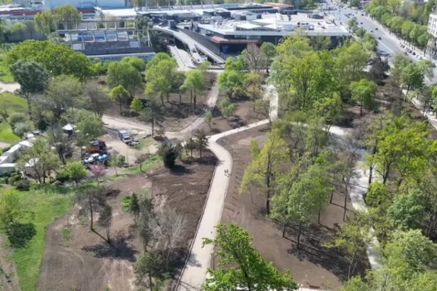 nici nu a inceput bine ca s a si blocat licitatia pentru reabilitarea si extinderea sistemului de irigatii din parcul tabacarie suspendata 69b9efbad1684