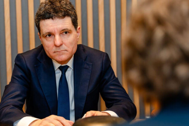 nicusor dan dupa discutii cu oana gheorghiu reforma companiilor de stat nu mai poate fi amanata 69c02a655e575