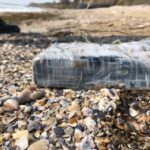 noi detalii din dosarul cocaina de pe plaja coordonata de sheik unul dintre cei mai mari traficanti din america de sud legaturi cu pensiuni din delta 69bb288518992