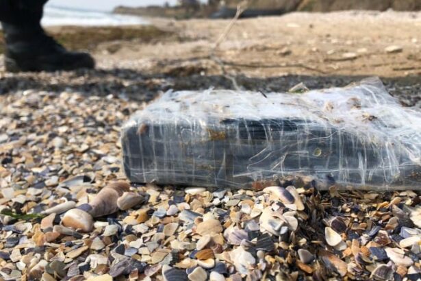 noi detalii din dosarul cocaina de pe plaja coordonata de sheik unul dintre cei mai mari traficanti din america de sud legaturi cu pensiuni din delta 69bb288518992