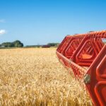 o firma din lumina care se ocupa de comertul cu cereale a intrat in insolventa ce anunta a facut administratorul special 69a904d0597b5