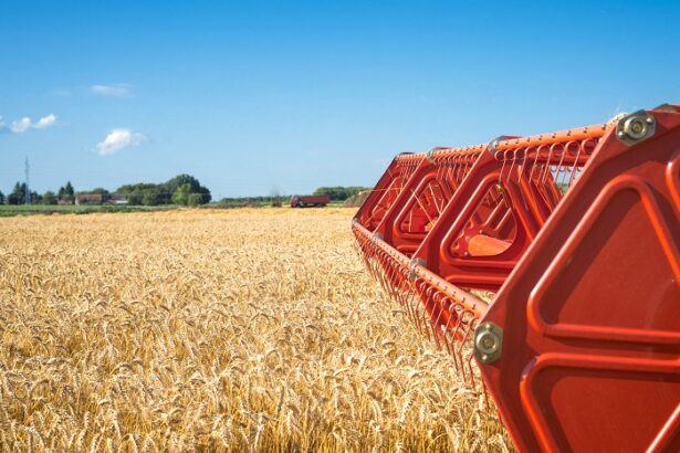 o firma din lumina care se ocupa de comertul cu cereale a intrat in insolventa ce anunta a facut administratorul special 69a904d0597b5