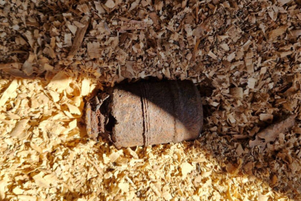 o grenada a fost gasita de un localnic din harghita in propria curte 69b5467d5c150