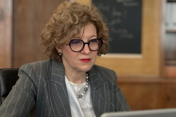 oana gheorghiu peste 1 000 de sesizari pe platforma fara hartie in prima zi de functionare 69a83abec36e2