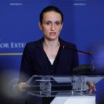 oana toiu asteptata la comisia de politica externa a camerei deputatilor pentru explicatii privind romanii din orientul mijlociu 69b10bdf62d66