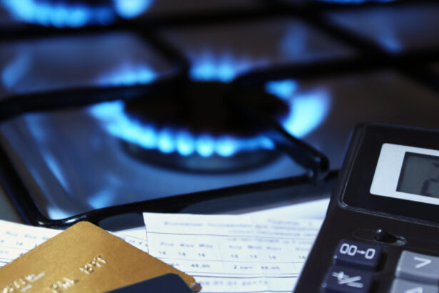 ordonanta privind pretul gazelor pentru populatie a fost publicata in monitorul oficial ce trebuie sa stie consumatorii 69afe0dc284f5