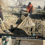 pe plajele din navodari au fost descoperite noi instalatii ingropate ilegal diana buzoianu un domeniu tratat ca vestul salbatic 69b26ec57f4b5