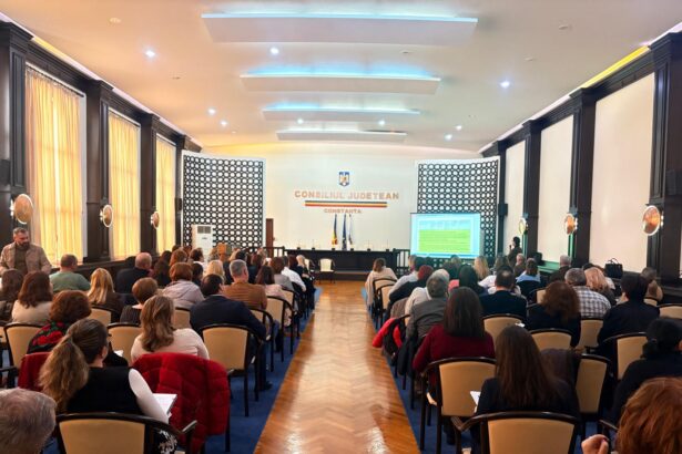 primar din judetul constanta nu am fost la prefectura la discutiile despre reducerea personalului din primarii e forma mea de protest 69c2931ef3d2b