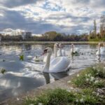 puz ul companiei pontoane ro pentru investitia de pe lacul neptun publicat in transparenta decizionala de primaria mangalia cazare in varianta lacustra si agrement nautic 69bbe33a2f8a9