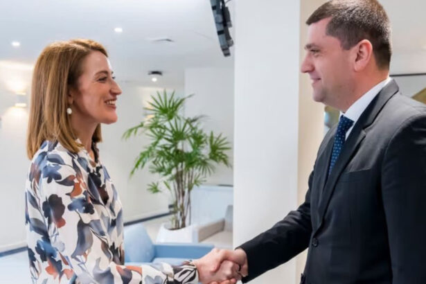 radu miruta a vorbit cu roberta metsola despre nevoia unui safe 2 statul roman poate contribui la strategia militara europeana 69a8732515945