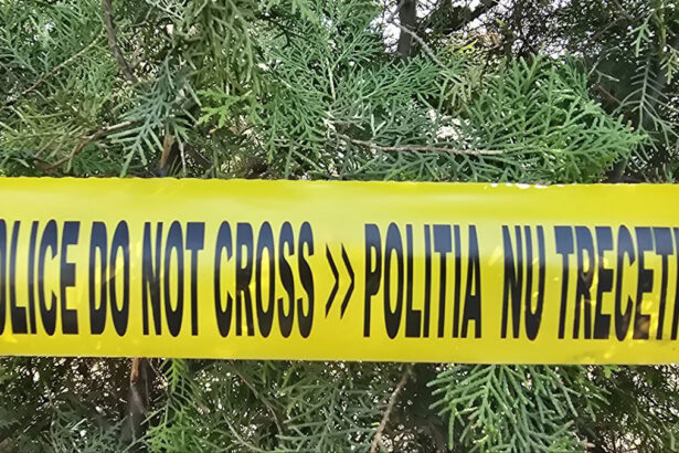 scene socante la babadag copil de 13 ani injunghiat in piept de un alt minor ce vor analiza maine judecatorii din constanta 69aec5ba8d8e0