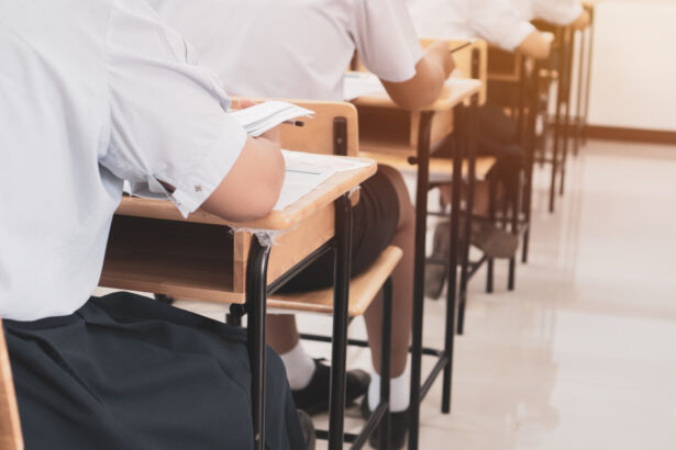 simulare evaluarea nationala 2026 elevii sustin astazi proba scrisa la limba si literatura romana ce prevede programa 69b7919ed6760