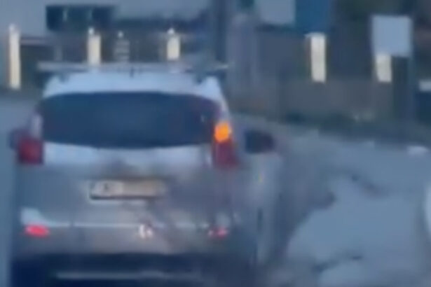 sofer din bistrita surprins in timp ce tara un trunchi de copac de 16 metri pe carosabil 69c79bde965f3