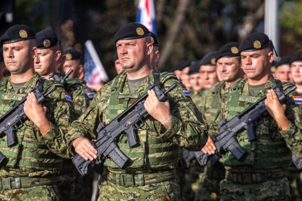 tara din ue in care sute de tineri vin la recrutare dupa reintroducerea serviciului militar obligatoriu cat castiga lunar un recrut 69afbdb451069